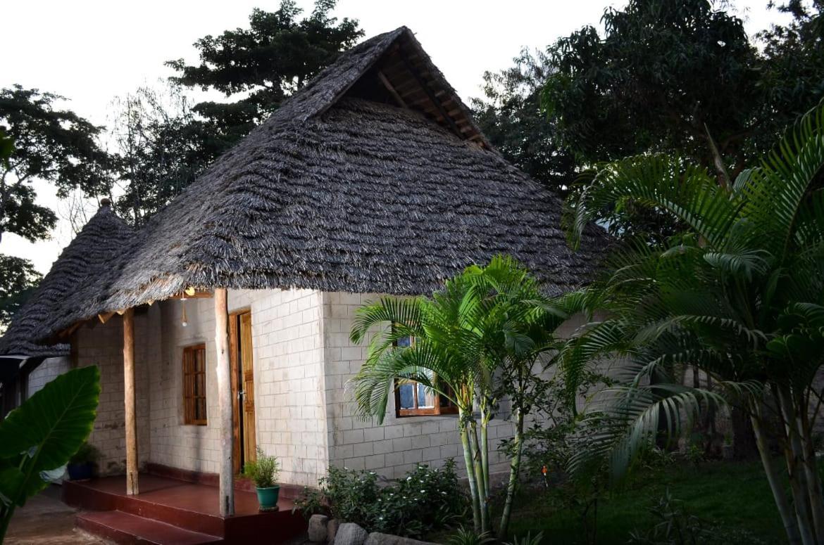 Charming Eco-Homestay Near Kilimanjaro International Airport Arusha Extérieur photo